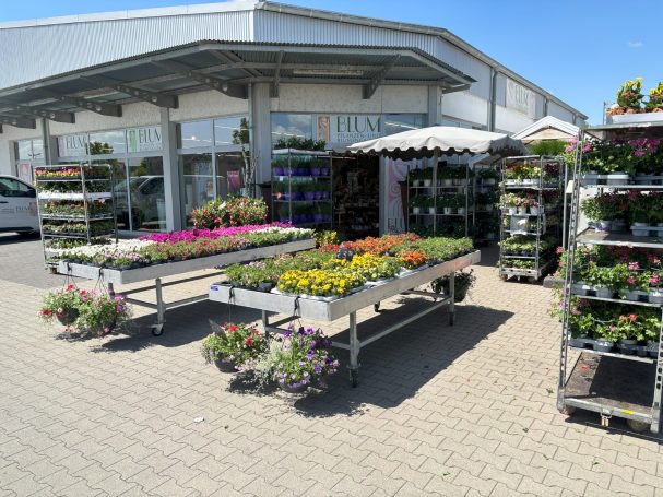 Blumengalerie Außenbereich Außenbereich der Blumengalerie mit Pflanzen und Blumenständen