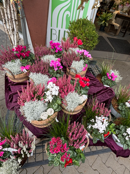 Bunte Gestecke und Töpfe Bunte Blumentöpfe und Gestecke im Eingangsbereich